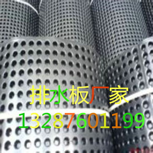 新疆排水板與土工格柵的應(yīng)用與優(yōu)勢